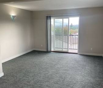 large 2 bed 1 bath - Photo 1