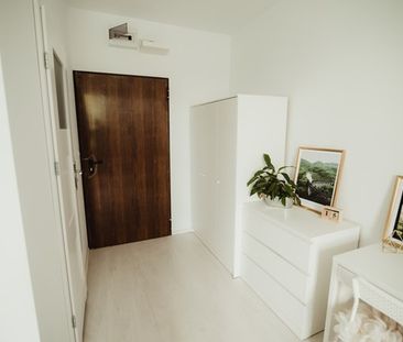 Katowice Dąbrówka Mała, ul. Strzelców Bytomskich - Zdjęcie 3