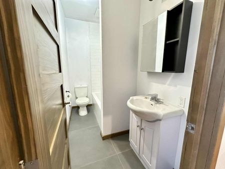 Appartement à louer - Montréal (Mercier/Hochelaga-Maisonneuve) (Mercier) - Photo 3