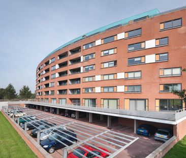 Te huur: Beeldsnijderstraat 257 - Foto 6