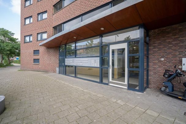Til Brugmanplantsoen 10, 2525 ZZ, 's-Gravenhage - Foto 1