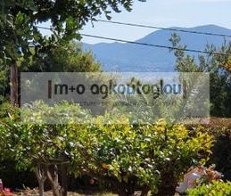 Διαμέρισμα για ενοικίαση - Ανάβυσσος, - Photo 2