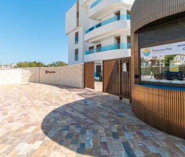 Apartment / Flat - Photo 5