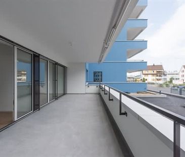 3.5 Zimmer, EG - Photo 4