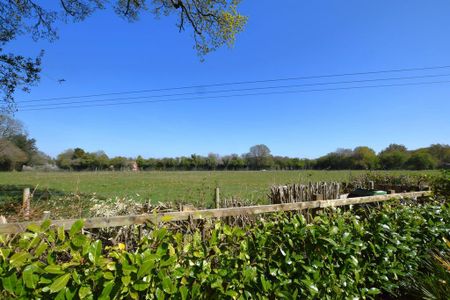 3 bedroom semi-detached house to rent - Photo 4