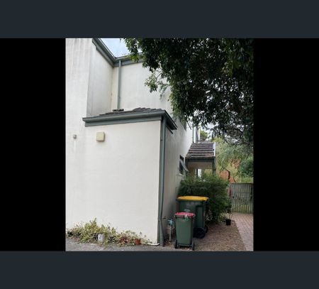 35A Piedmont Street, Box Hill South, Vic 3128 - Photo 4