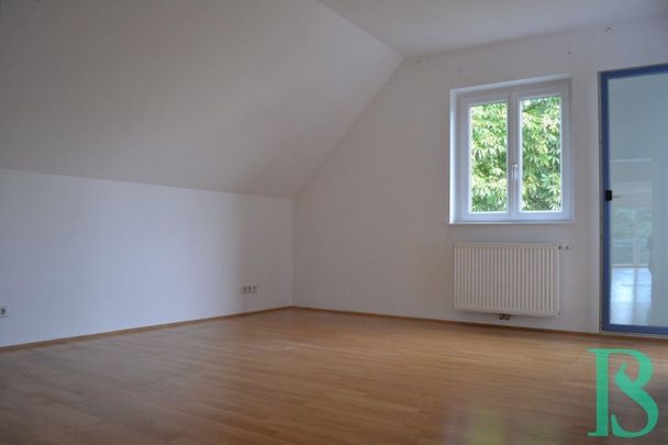 Hietzinger Cottage – Sonne den ganzen Tag – 2 Terrassen – Neubau - Foto 1