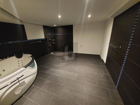 WITH WELLNESS OASIS AND LARGE TERRACE - Photo 2