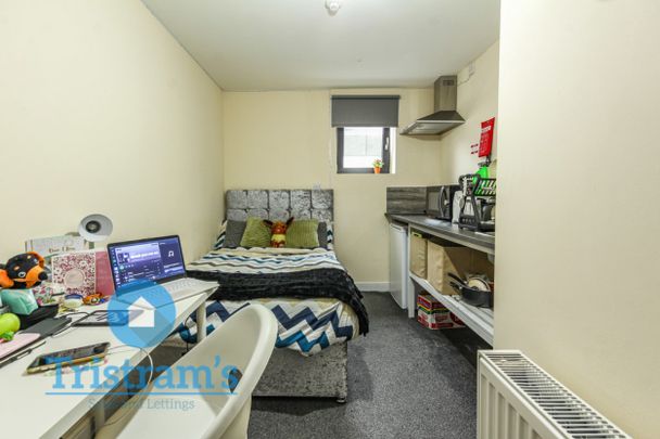 1 bed Studio for Rent - Photo 1