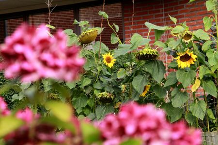 Baldersvej, 52, 1. lejl 107, Kolding, 6000 - Photo 3