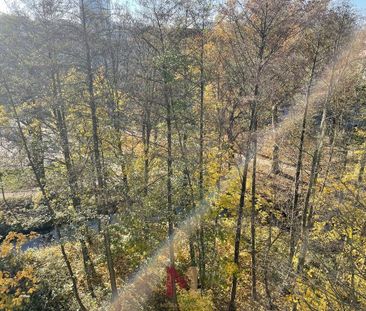 Mieszkanie na wynajem, Gorzów Wlkp., Śródmieście - Zdjęcie 4