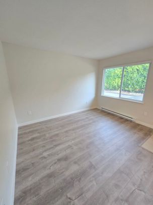 Brand New Unit in Chilliwack - Photo 1