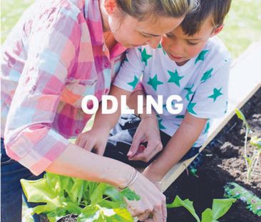 Tekla Thomassons gata 37, Segevång - Foto 4