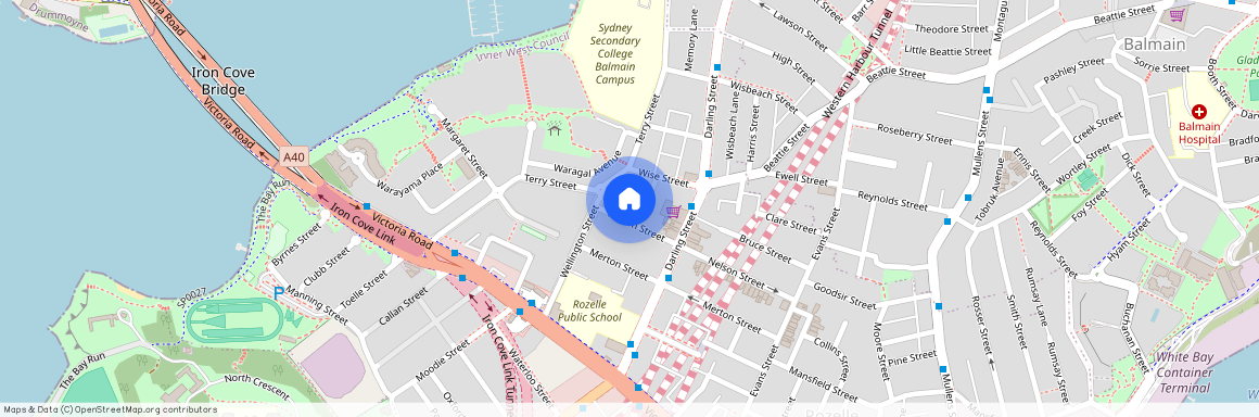 81 Nelson Street, NSW 2039, Rozelle