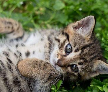 Mit der Familie lassen sich die schönsten Momente erschaffen! - Photo 1