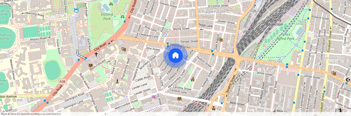 29 Vine Street, NSW 2008, Darlington