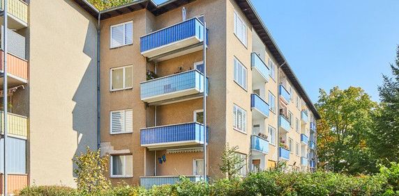 Genau das Richtige für Sie – mit neuem Tageslichtbad - Photo 2