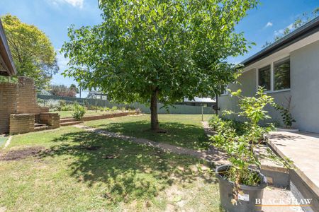 A Renovated 4-Bedroom Gem with Endless Potential - Photo 4