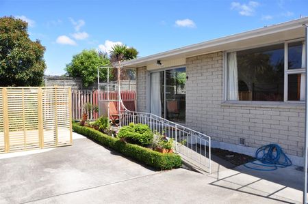 What a find! - Photo 3