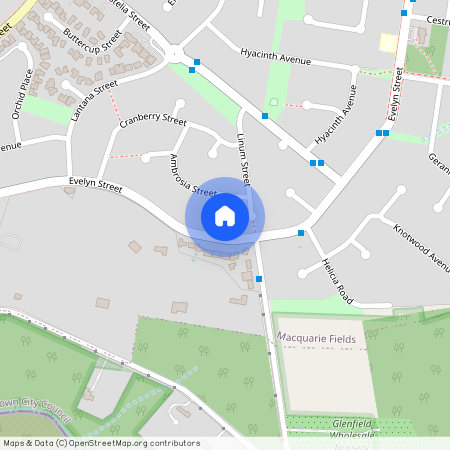 60 Evelyn Street, NSW 2564, Macquarie Fields