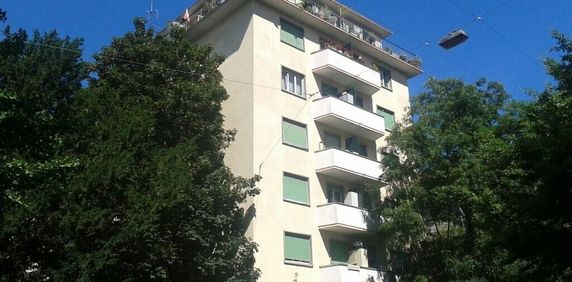 Magnifique logement au coeur de Genève ! - Photo 2