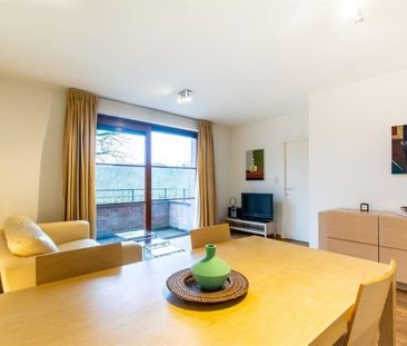 Furnished apartment - Photo 5