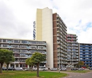 Kronenburgersingel 0ong, 6511 Nijmegen, Nederland - Foto 2