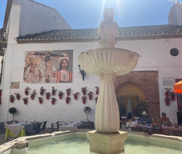 Tropical Old Town Marbella - Photo 4