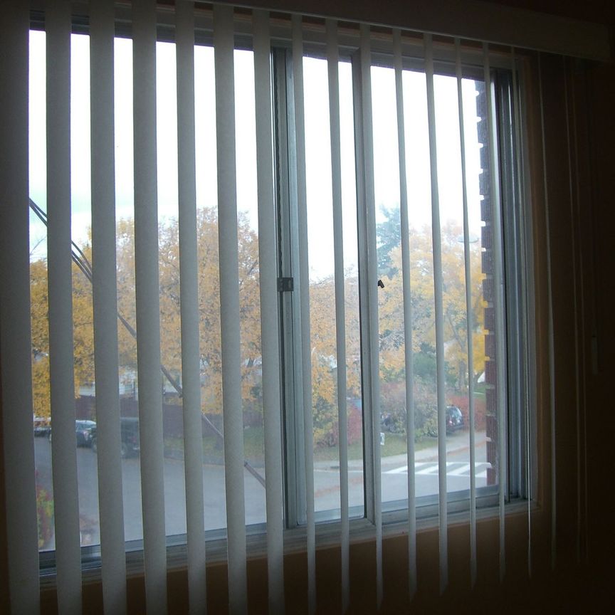 2 Bedrooms,large apartment! Amazing Location! Close to U of C! - Photo 1