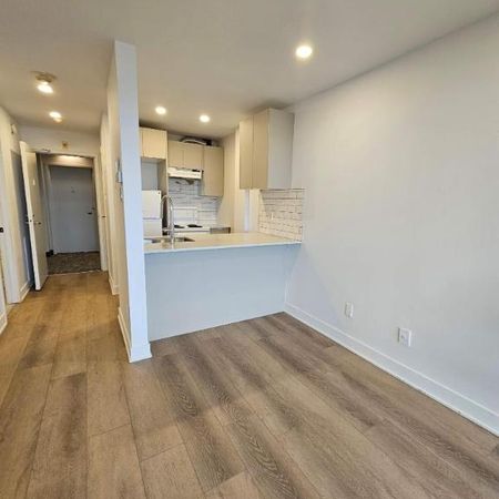 Studio - Montréal - $1,245 /mo - Photo 3