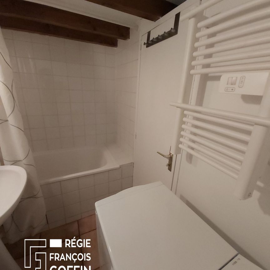 APPARTEMENT T1 + MEZZANINE - MEUBLE - Photo 1