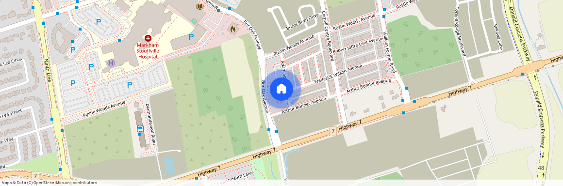 12 Adam Sellers Street, Markham