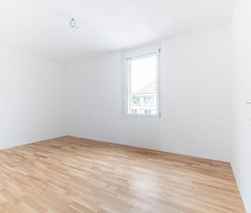Wohn- & Wohlfühloase sucht neuen Mieter - Photo 5