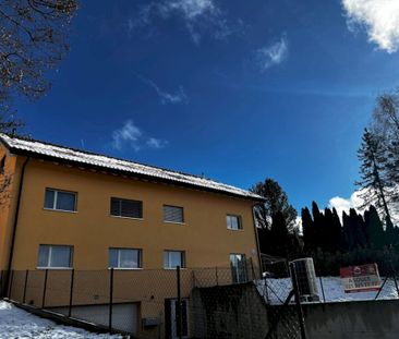 Magnifique duplex moderne de 4,5 pièces avec jardin à Lausanne - Foto 5