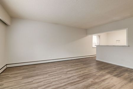 Renovated Suite - 1 Bedroom - Photo 2