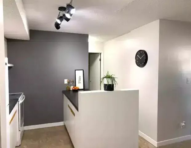 Lower Floor - HUGE 1 Bdrm Suite - UNIQUE LAYOUT - Available September 1st | 5820 58A Street, Red Deer - Photo 1