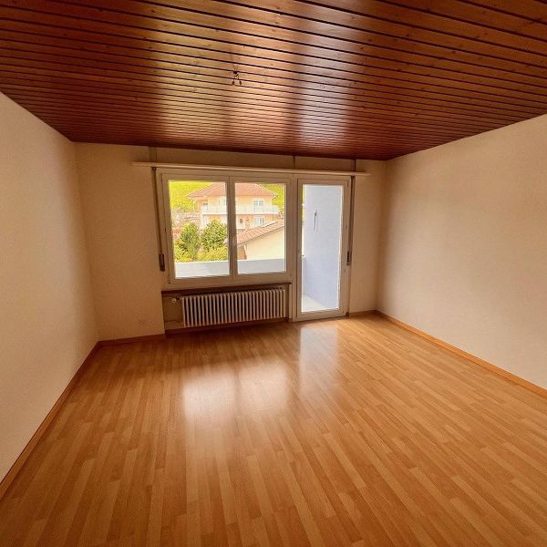 neues Zuhause gesucht? - Photo 1