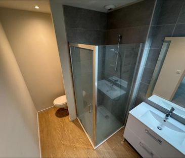 Location Appartement 2 pièces 45m² ROANNE 42300 - Photo 3