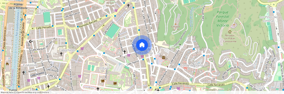 Cristo de la Epidemia, Málaga