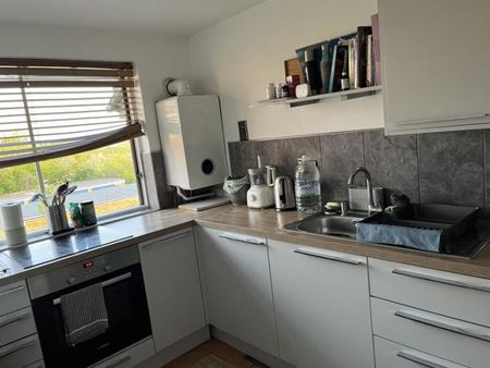 Bright, Cozy Room in South Norwood to rent - Photo 3