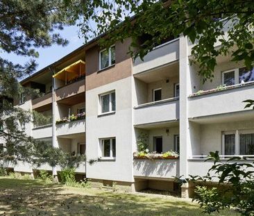 Singlewohnung mit modernem Bad - Photo 1