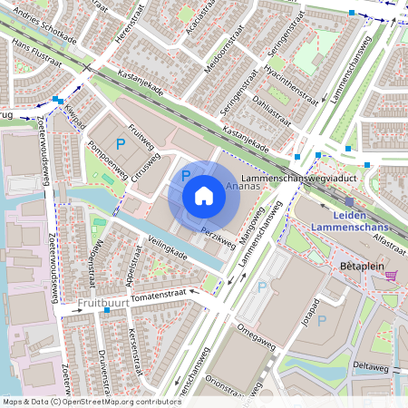 Perzikweg 116, 2321DG, Leiden