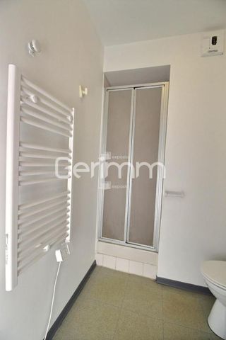 Location Appartement 1 pièce 16m² GRENOBLE 38000 - Photo 3