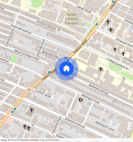 Apt 1, 125 Wellesley Avenue, BT9 6DH, Belfast