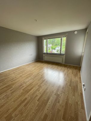 Mossebogatan, Sommen - Foto 1