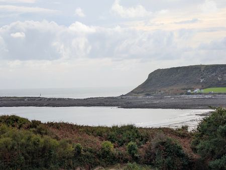 Frogs Leap, Horton, Swansea, SA3 - Photo 4
