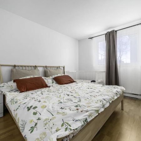 Appartement 4 ½ à louer Lévis juillet 2026 - Photo 3