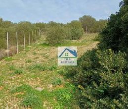 Μονοκατοικία για ενοικίαση - Μαρκόπουλο, - Photo 6