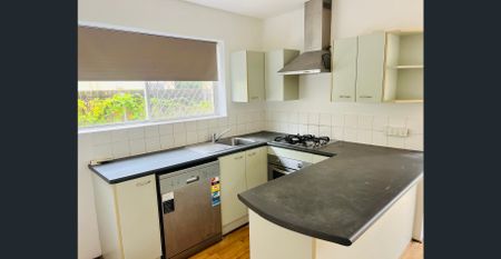 Fresh One-Bedroom Unit with Private Courtyard – Balmoral - Photo 5