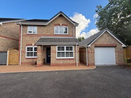 5 bedroom House To Let - Photo 5